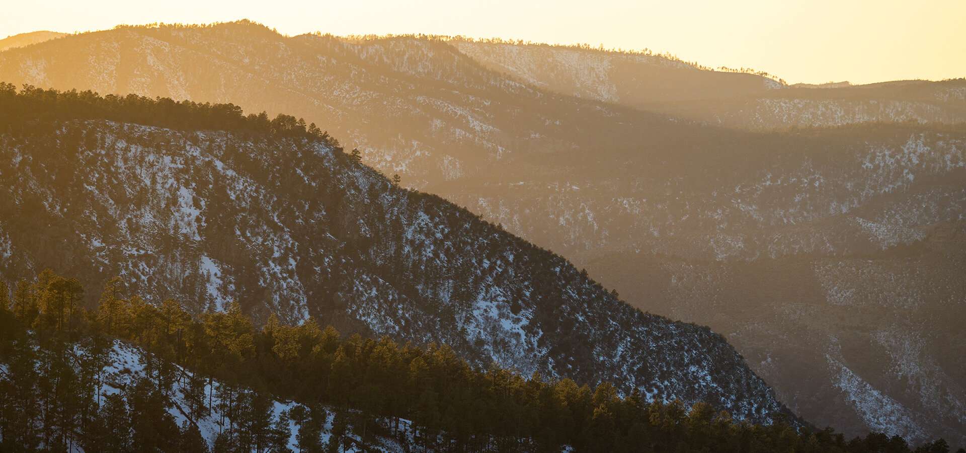 Privacy & Terms of Use