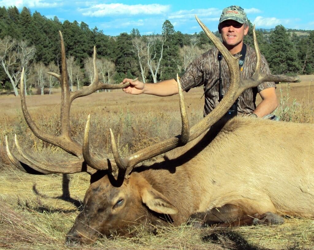 Elk Muzzleloader Hunts: