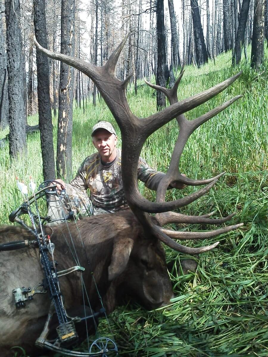 Elk Hunts in New Mexico with Trophy Ridge Outfitters Elk Hunts in New Mexico with Trophy Ridge Outfitters
