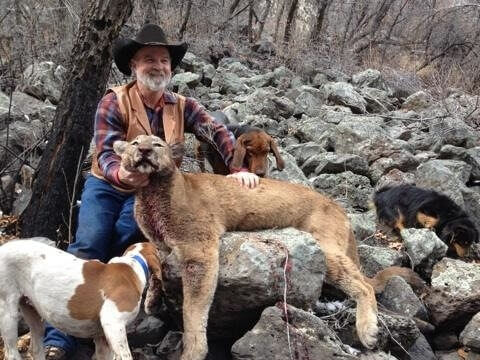 Mountain Lion Hunting in New Mexico Mountain Lion Hunting in New Mexico