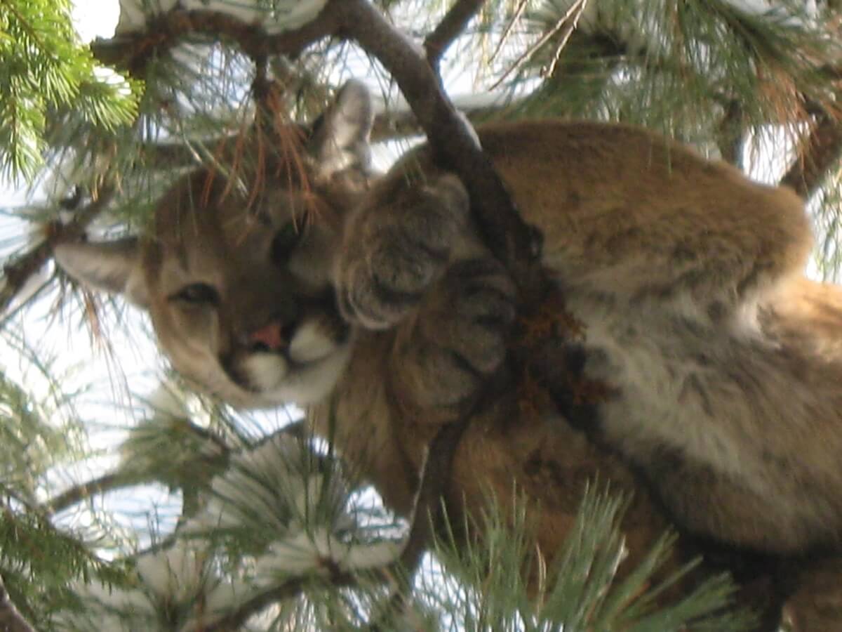 Customer Experience Customer Experience