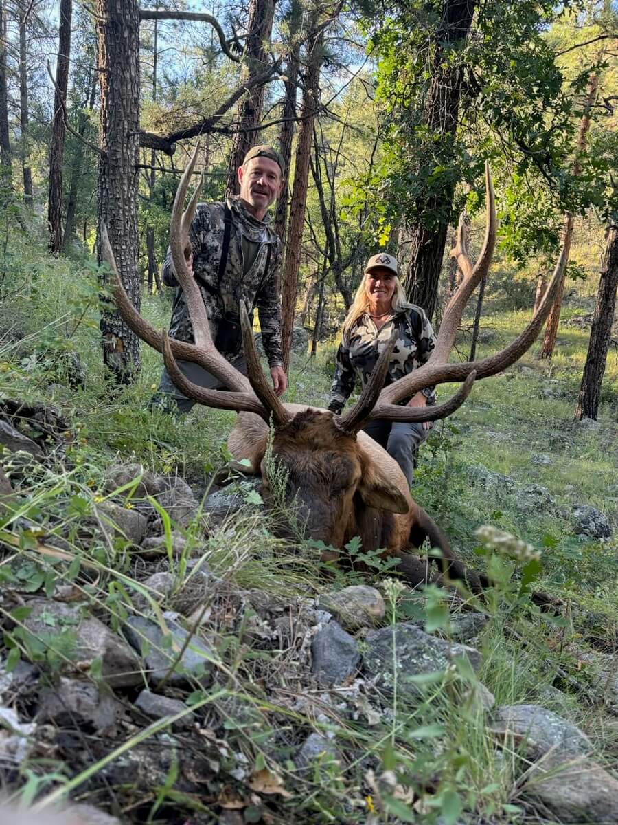 Archery Elk Hunting in New Mexico