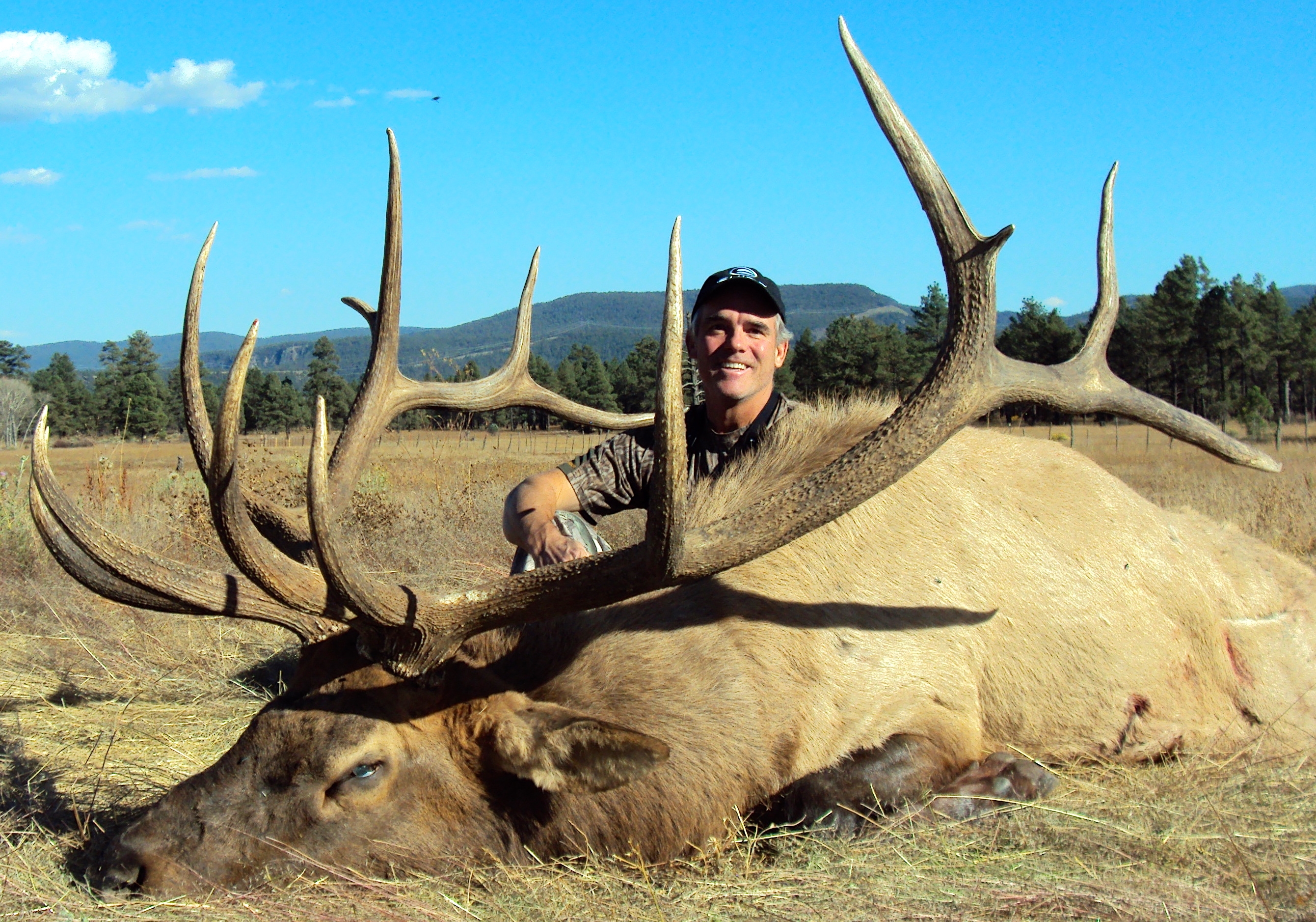 Elk Hunting in New Mexico