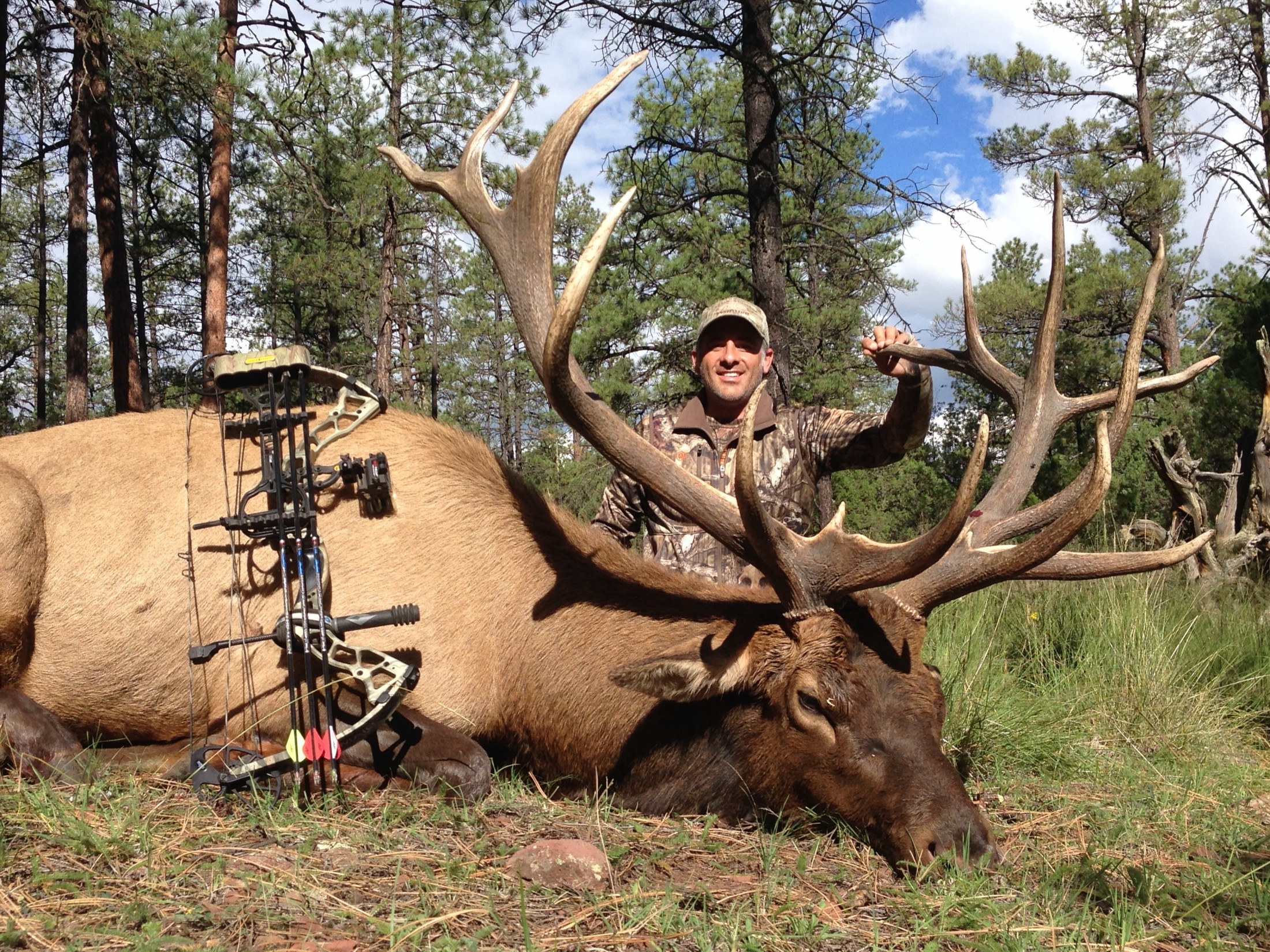 Big Game Hunts for Elk, Deer, Antelope, Oryx, Mountain Lion and Turkey in N...