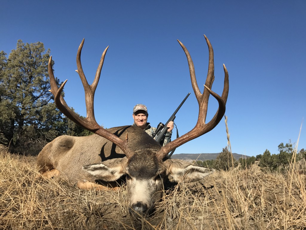 Deer Hunting in New Mexico