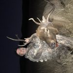 new-mexico-hunting